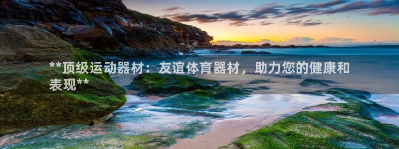 耀世盛典官网：**顶级运动器材：友谊体育器材，助力您的健康和