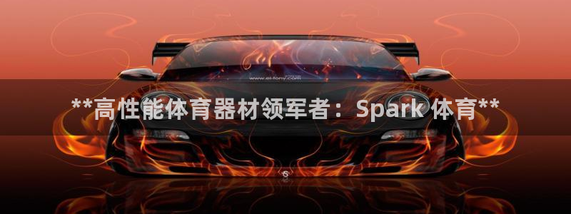 耀世娱乐客服怎么样：**高性能体育器材领军者：Spa