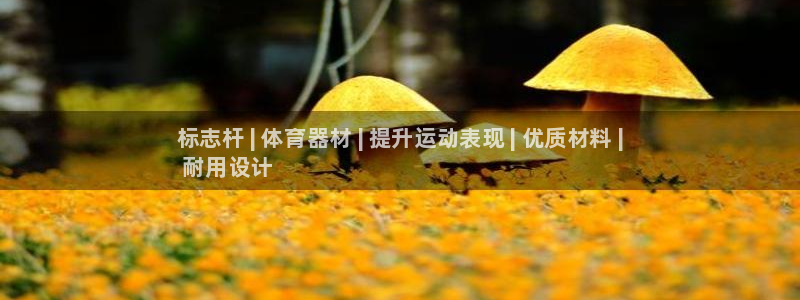 耀世娱乐app下载官网苹果：标志杆 | 体育器材 | 提升运