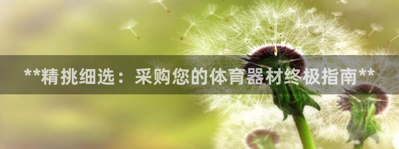 六星耀世什么意思：**精挑细选：采购您的体育器材终极