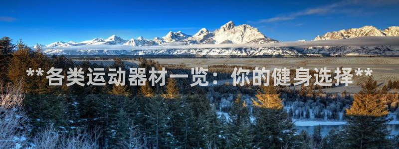 耀世娱乐联 585341：**各类运动器材一览：你的健身选择