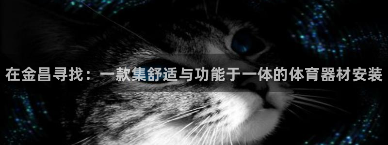 耀世集团董事长简介：在金昌寻找：一款集舒适与功能于一体的体育