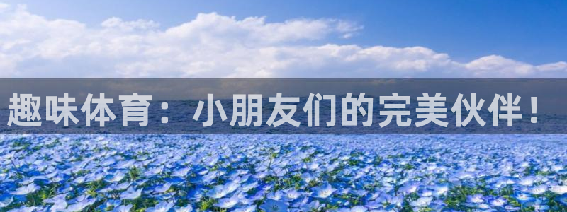 耀世平台人才：趣味体育：小朋友们的完美伙伴！