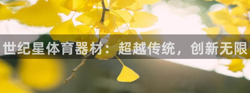 耀世娱乐价 411O31 耀世：世纪星体育器材：超越