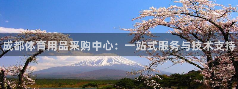 耀世集团董事长：成都体育用品采购中心：一站式服务与技术支持