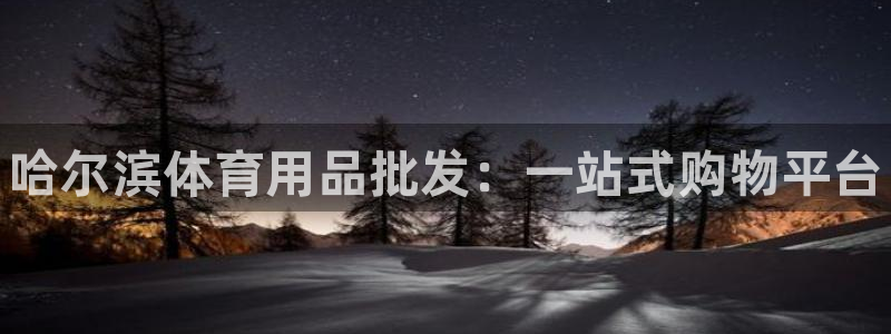 耀世平台有很多登录地址：哈尔滨体育用品批发：一站式购