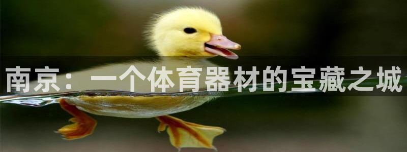 耀世娱乐老板叫什么：南京：一个体育器材的宝藏之城