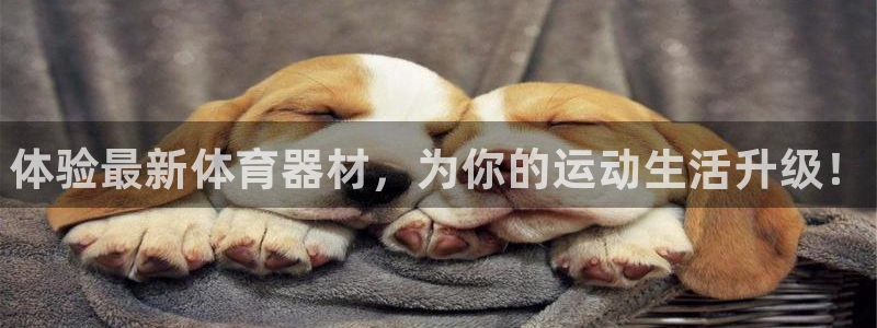 耀世娱乐注册入口在哪：体验最新体育器材，为你的运动生活升级！