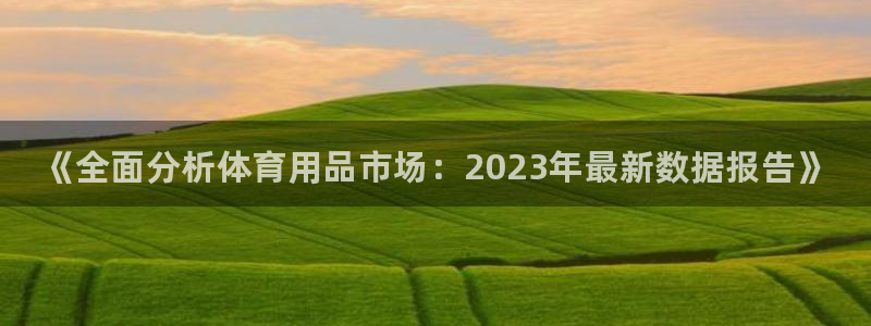 耀世娱乐是不是赚钱快：《全面分析体育用品市场：2023年最新