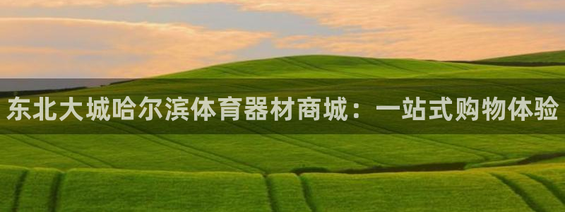 耀世广告：东北大城哈尔滨体育器材商城：一站式购物体验